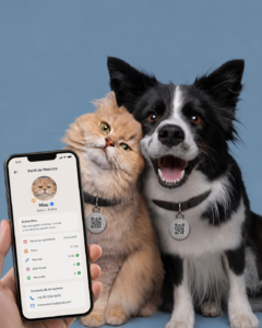 mascotas seguras en lo digital